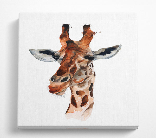 A Square Canvas Print Showing Curious Giraffe Square Wall Art