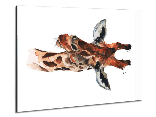 Neugierige Giraffe