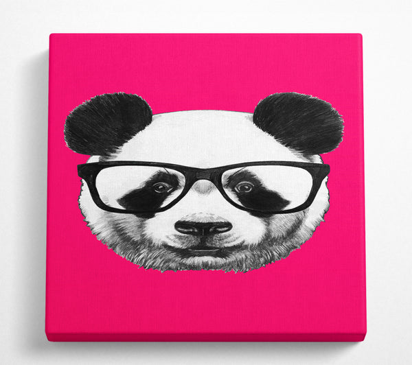 A Square Canvas Print Showing Funky Panda Square Wall Art