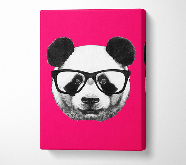 Picture of Funky Panda Canvas Print Wall Art