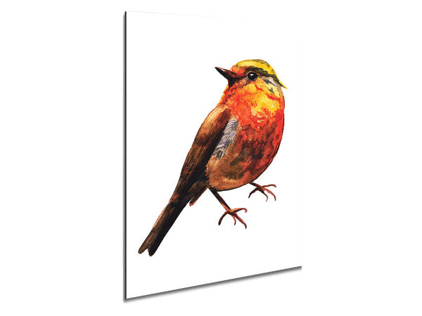 Robin Red Breast Metal Print