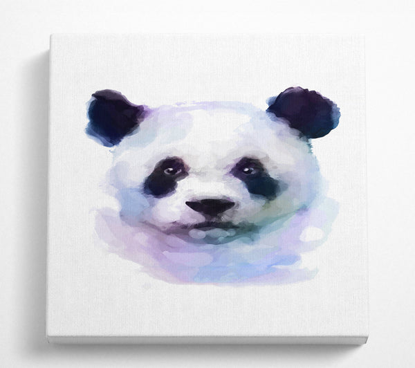 A Square Canvas Print Showing Panda Face Square Wall Art