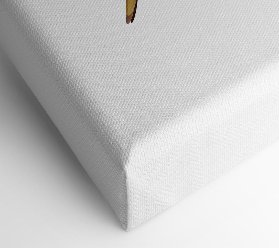  A Canvas Print of Hummingbird Colours Canvas Wall Art
