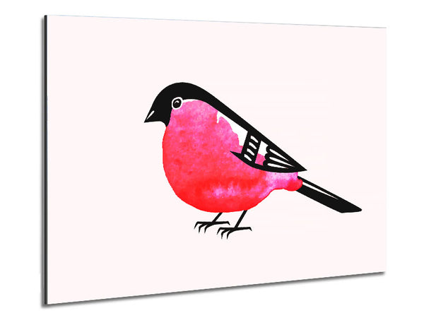 Pink Robin Breast Metal Print