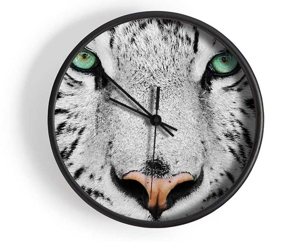 Green Eyed White Tiger Clock - Wallart-Direct UK