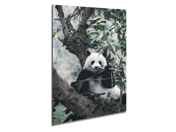 Panda Tree Lover Metal Print