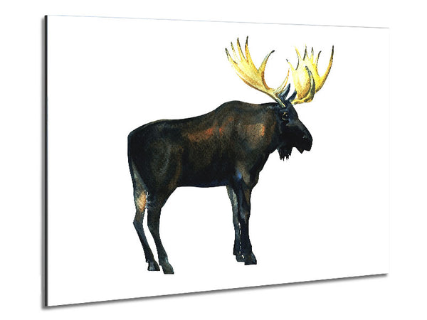 Moose Metal Print