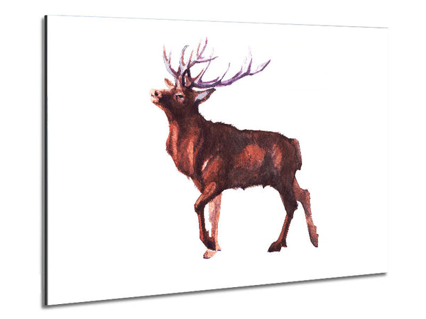 Red Stag Delight Metal Print