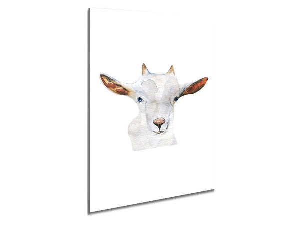 Ziegenbabygesicht