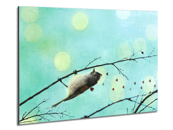 Vogel-Liebes-Herzen