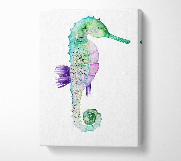 A Canvas Print of Spotted Seahorse Canvas Art