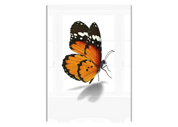Orangefarbener Schmetterling
