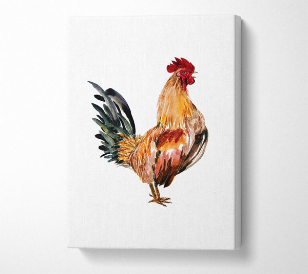  A Canvas Print of Chicken Call Canvas Print
