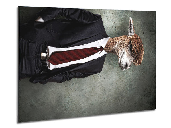 Geschäftslama