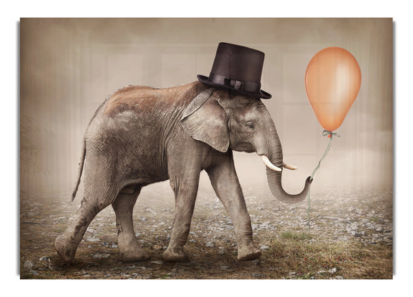Top Hat Elephant