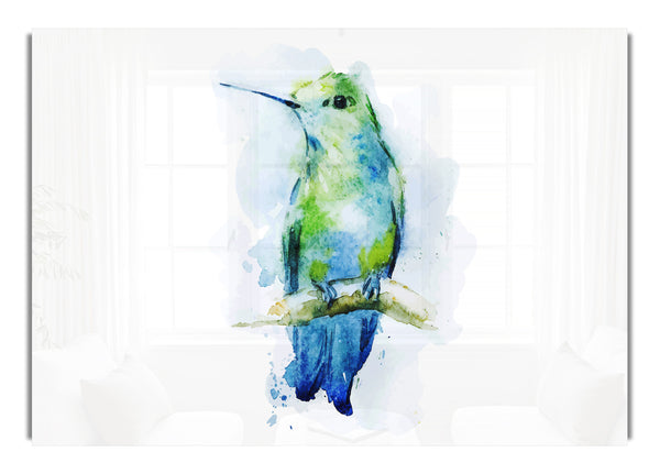 Kolibri-Zweig
