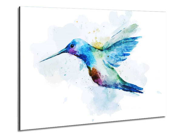 Hummingbird Splash Metal Print