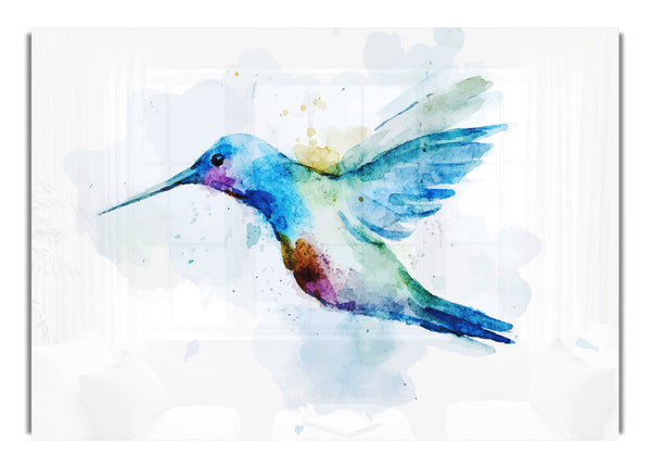 Kolibri-Spritzer
