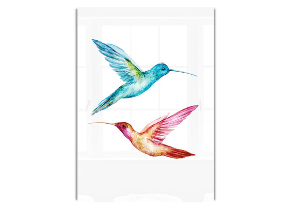 Kolibri-Duo