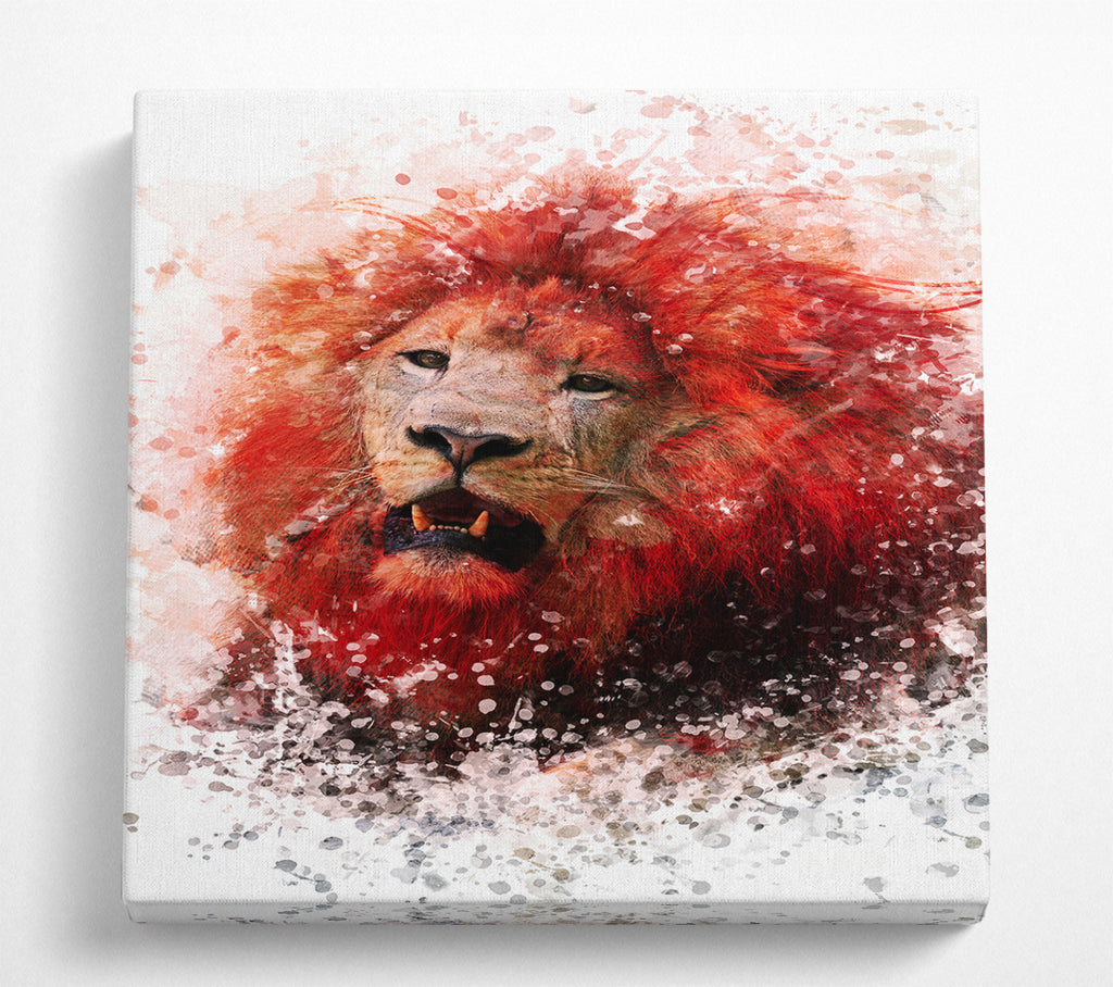 A Square Canvas Print Showing Red Lion Roar Square Wall Art