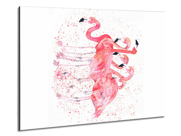 Pink Flamingo Splash Metal Print