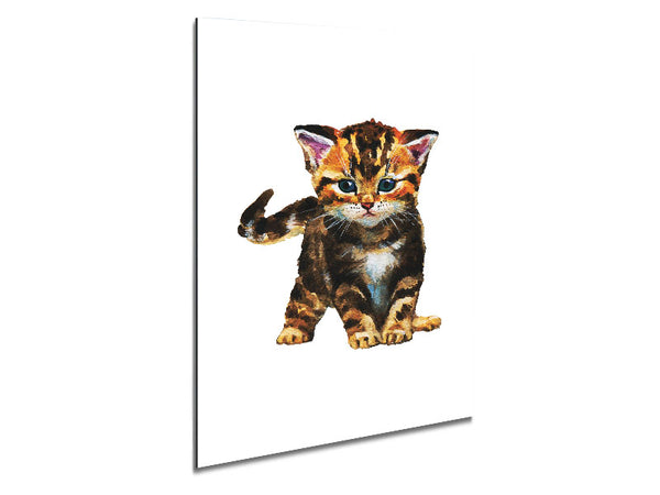 Tabby Kitten Cat Metal Print