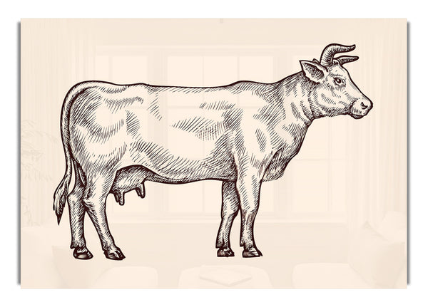 Hereford-Kuh