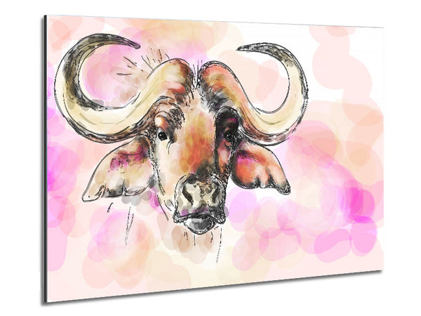 Texas Longhorn Cow Metal Print
