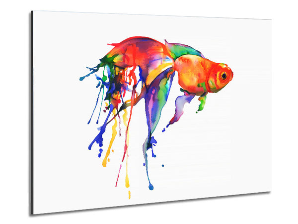 Rainbow Goldfish Metal Print