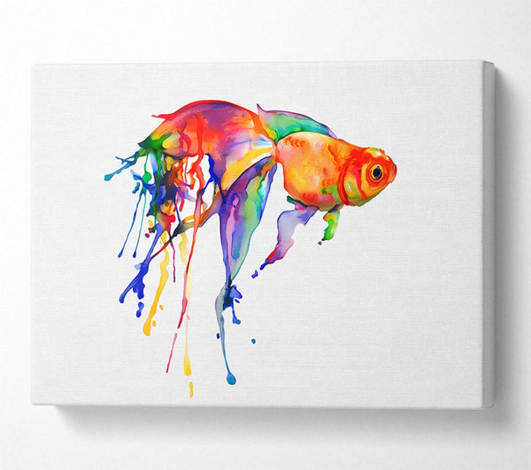  A Canvas Print of Rainbow Goldfish Canvas Wall Art