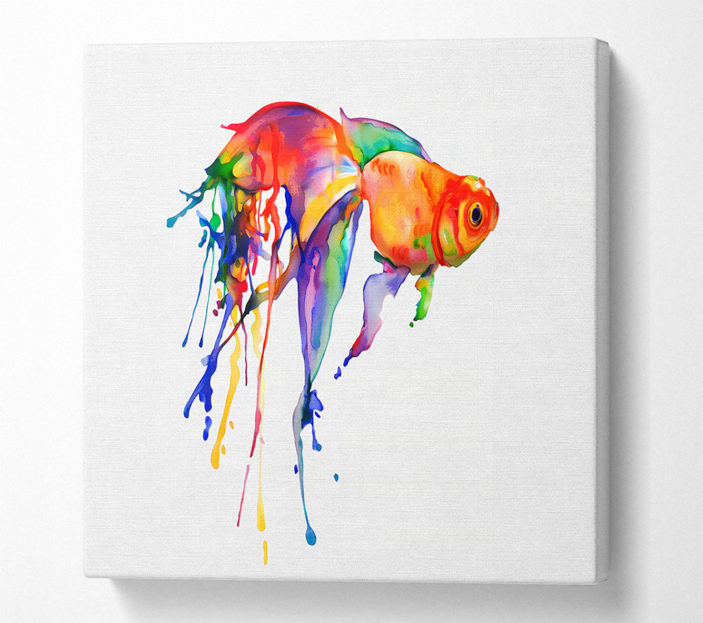 A Square Canvas Print Showing Rainbow Goldfish Square Wall Art