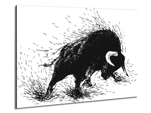 Bullenangriff