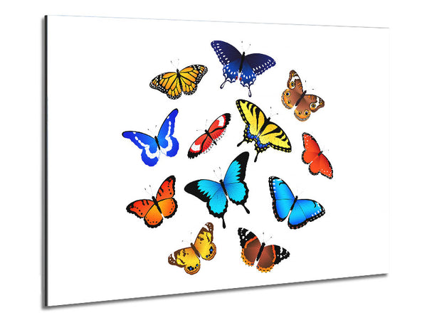 Bunte Schmetterlinge