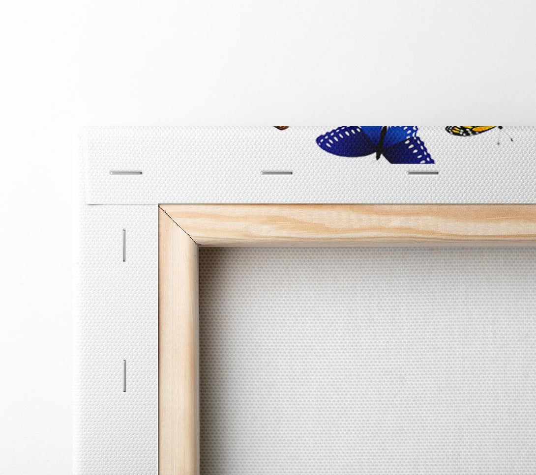 A Canvas Print of Colourful Butterflies Canvas Print