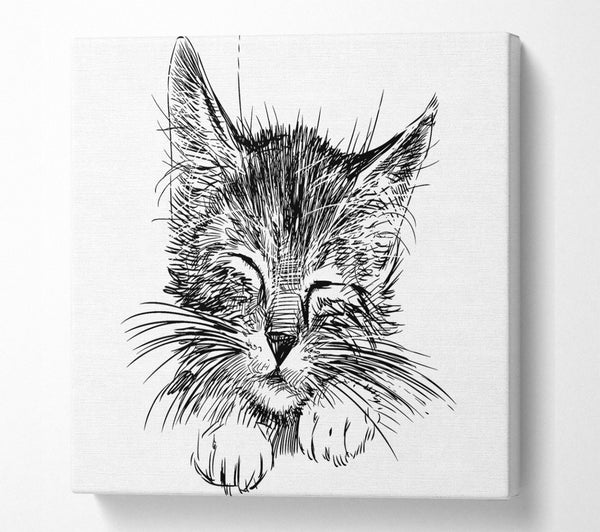A Square Canvas Print Showing Cute Kitten Face Square Wall Art