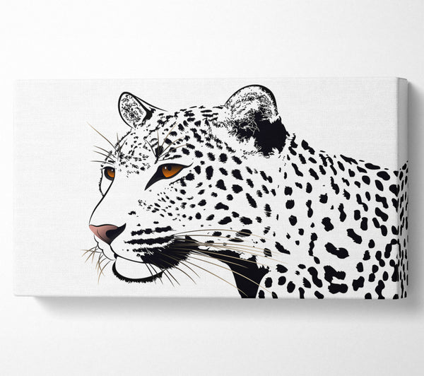 Leopardenaugen