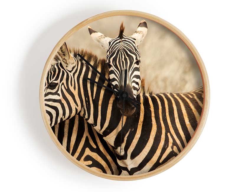 Zebra Duo Love Clock - Wallart-Direct UK