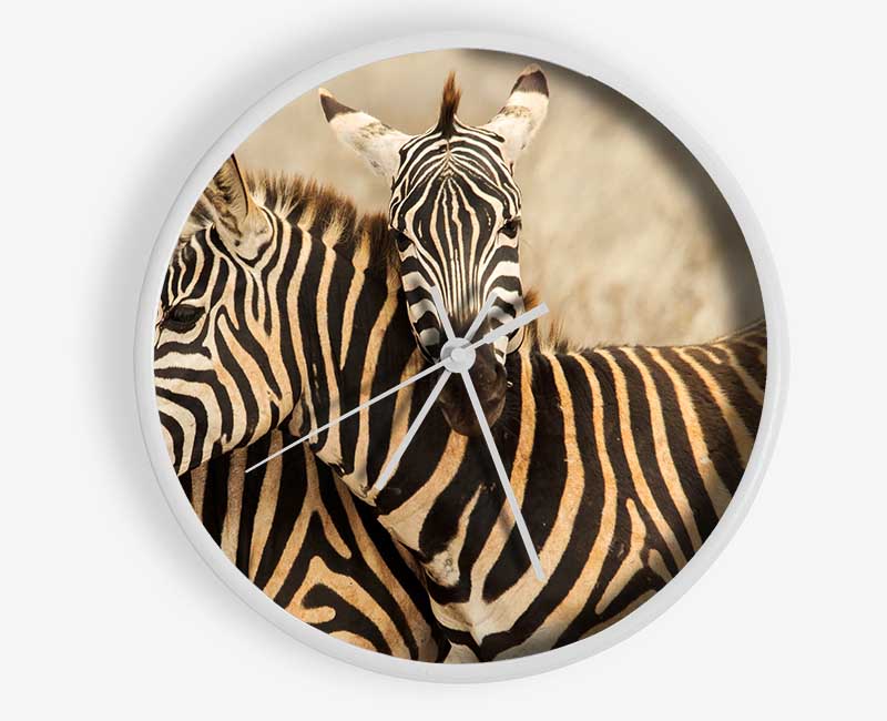Zebra Duo Love Clock - Wallart-Direct UK