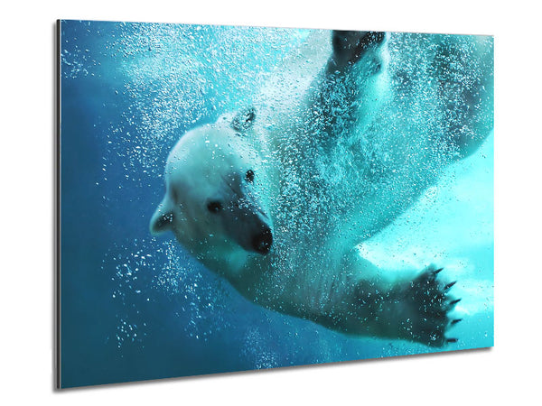 Polar Bear Swim Metal Print