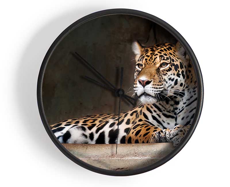 Young Tiger Resting Clock - Wallart-Direct UK