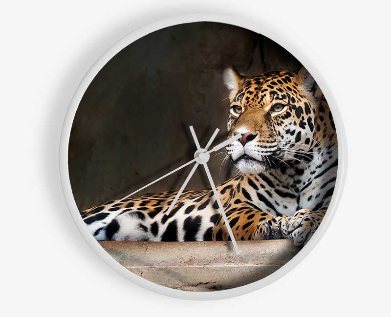 Young Tiger Resting Clock - Wallart-Direct UK