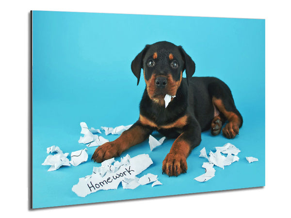 Naughty Rottweiler Puppy Dog Metal Print