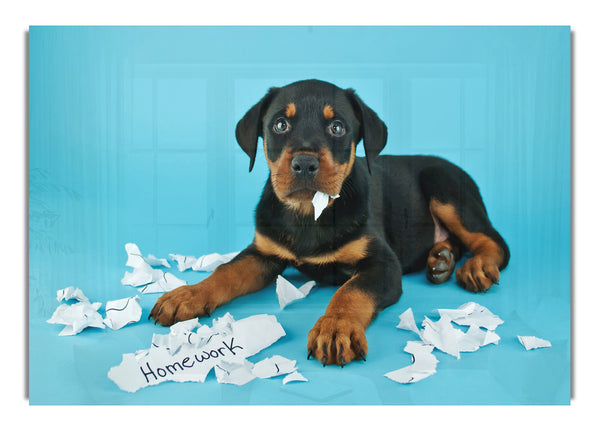 Frecher Rottweiler-Welpe