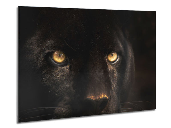 Schwarzes Panthergesicht