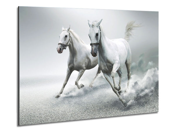 White Duo Horses