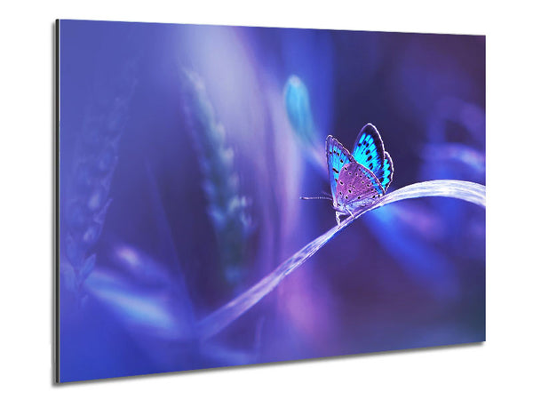 Purple Butterfly Wonder Metal Print