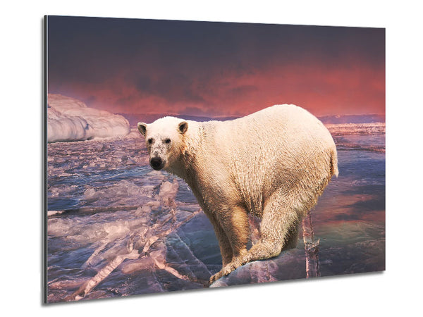Polar Bear Skies Metal Print