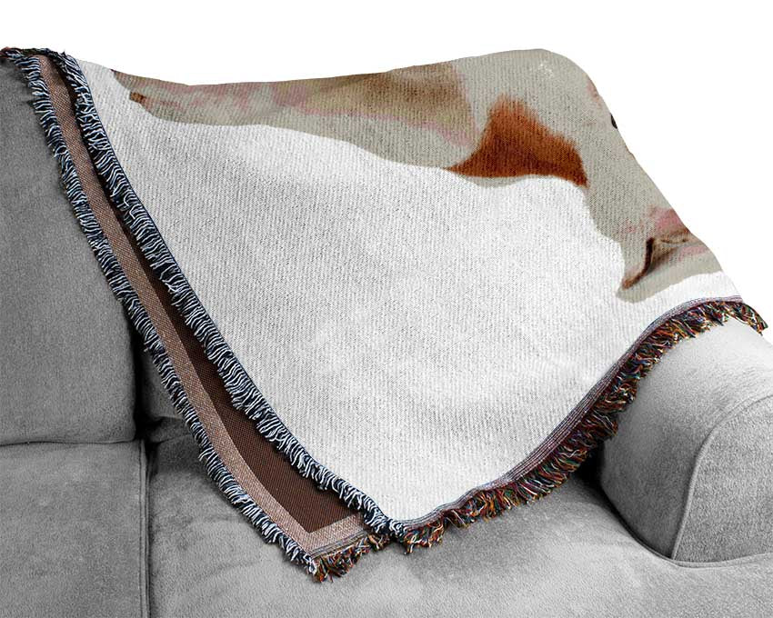 English Bulldog Snooze Woven Blanket