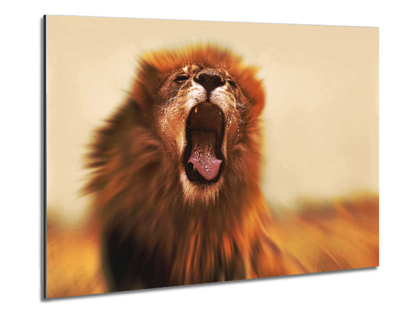 King of The Jungle Lion Roar Metal Print