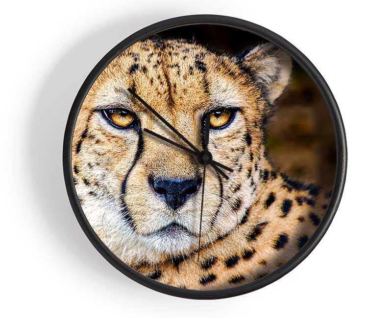 Beautiful Cheetah Face Clock - Wallart-Direct UK